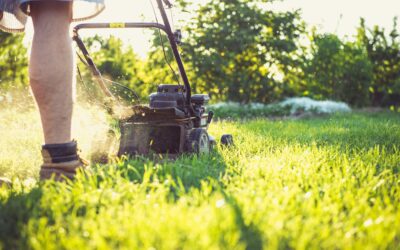 The Art of Old-Fashioned Lawn Care: A Tradition of Pride and Precision